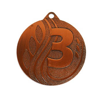 Медаль Д 256 бронза