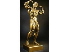 Statuettes bodybuilding from a metal
